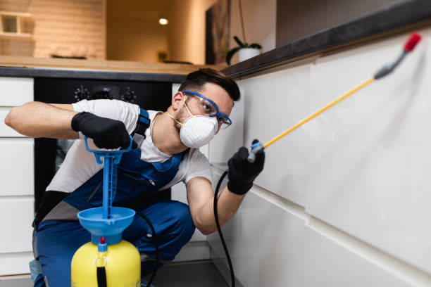 Best Pest Control Near Me  in Sutter Creek, CA