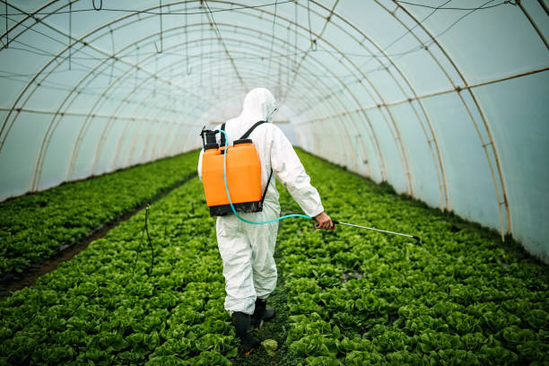 Best Pest Prevention Services  in Sutter Creek, CA