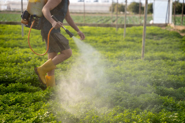 Best Pest Inspection Near Me  in Sutter Creek, CA