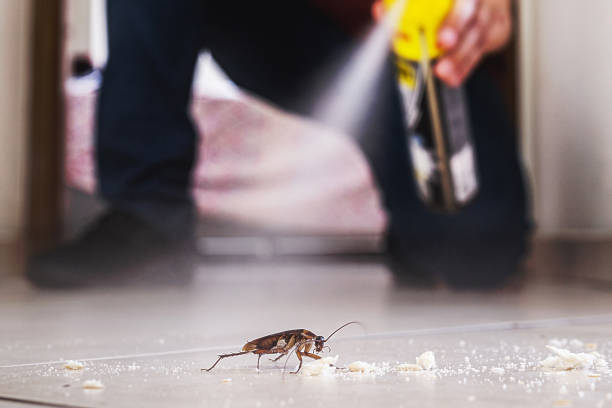 Professional Pest Control in Sutter Creek, CA